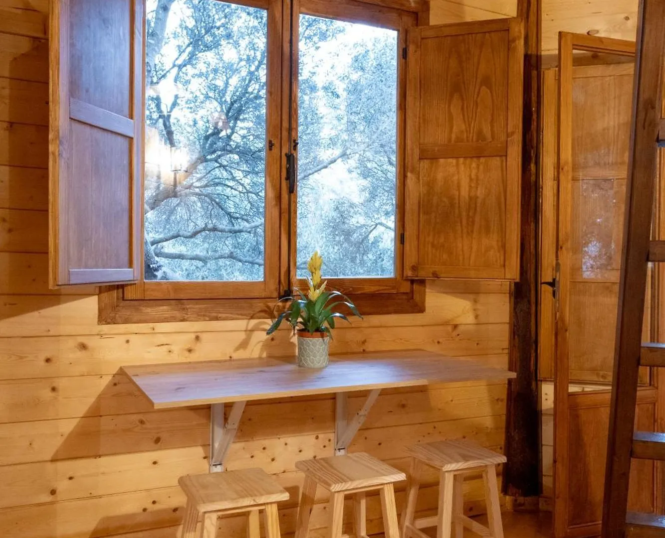 Cabana Etiopia Tarifa